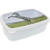 MuchoWow Broodtrommel Wit - Lunchbox - Brooddoos - Paard - Steigeren - Natuur - 18x12x6 cm - Volwassenen