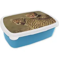 MuchoWow Broodtrommel Blauw - Lunchbox - Brooddoos - Twee cheeta's op de savanne - 18x12x6 cm - Kinderen - Jongen