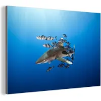 MuchoWow Wanddecoratie Metaal - Aluminium Schilderij Industrieel - Haai met vissen - 90x60 cm - Dibond - Foto op aluminium - Industriële muurdecoratie - Voor de woonkamer/slaapkamer