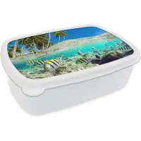 MuchoWow Broodtrommel Wit - Lunchbox - Brooddoos - Strand - Vissen - Kleuren - 18x12x6 cm - Volwassenen