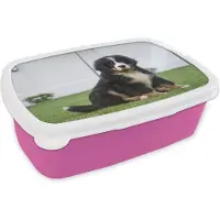 MuchoWow Broodtrommel Roze - Lunchbox - Brooddoos - Super schattige Berner Sennenhond puppy - 18x12x6 cm - Kinderen - Meisje