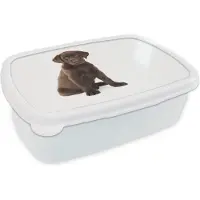 MuchoWow Broodtrommel Wit - Lunchbox Chocolade labrador puppy voor witte achtergrond - Brooddoos 18x12x6 cm - Brood lunch box - Broodtrommels voor kinderen en volwassenen
