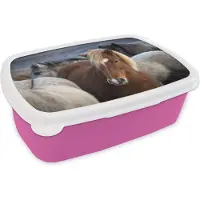MuchoWow Broodtrommel Roze - Lunchbox - Brooddoos - Close-up van een bruine IJslander tussen witte paarden - 18x12x6 cm - Kinderen - Meisje