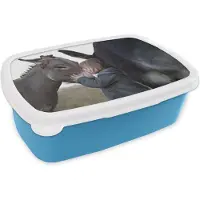MuchoWow Broodtrommel Blauw - Lunchbox - Brooddoos - Kind - Ezel - Kus - 18x12x6 cm - Kinderen - Jongen