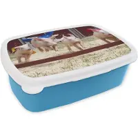 MuchoWow Broodtrommel Blauw - Lunchbox - Brooddoos - Varken - Cape - Gras - 18x12x6 cm - Kinderen - Jongen