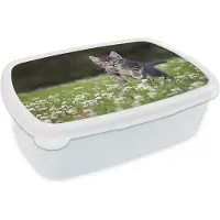 MuchoWow Broodtrommel Wit - Lunchbox - Brooddoos - Een kitten in een veld met klaver - 18x12x6 cm - Volwassenen