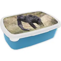 MuchoWow Broodtrommel Blauw - Lunchbox - Brooddoos - Afbeelding van een Gorilla met een jong op de rug - 18x12x6 cm - Kinderen - Jongen