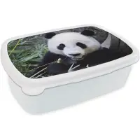 MuchoWow Broodtrommel Wit - Lunchbox - Brooddoos - Panda - Dier - Bladeren - 18x12x6 cm - Volwassenen