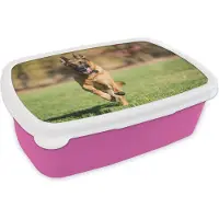 MuchoWow Broodtrommel Roze - Lunchbox - Brooddoos - Een Duitse Herder sprint in het groene gras - 18x12x6 cm - Kinderen - Meisje