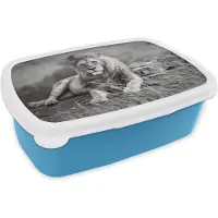 MuchoWow Broodtrommel Blauw - Lunchbox - Brooddoos - Leeuwen - Wild - Zwart - Wit - 18x12x6 cm - Kinderen - Jongen