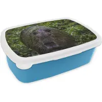 MuchoWow Broodtrommel Blauw - Lunchbox - Brooddoos - Vieze capibara - 18x12x6 cm - Kinderen - Jongen