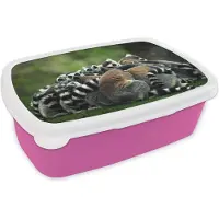 MuchoWow Broodtrommel Roze - Lunchbox - Brooddoos - Apen - Ringstaartmaki's - Bos - 18x12x6 cm - Kinderen - Meisje