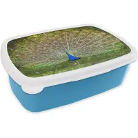 MuchoWow Broodtrommel Blauw - Lunchbox - Brooddoos - Pauw - Veren - Planten - 18x12x6 cm - Kinderen - Jongen