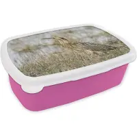 MuchoWow Broodtrommel Roze - Lunchbox - Brooddoos - Foto van een roerdomp nabij het water - 18x12x6 cm - Kinderen - Meisje