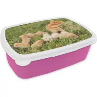 MuchoWow Broodtrommel Roze - Lunchbox - Brooddoos - Gouden hamster met jongen - 18x12x6 cm - Kinderen - Meisje