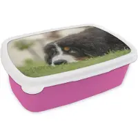 MuchoWow Broodtrommel Roze - Lunchbox - Brooddoos - Berner Sennenhond ligt op het groene gazon - 18x12x6 cm - Kinderen - Meisje