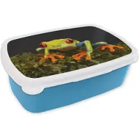 MuchoWow Broodtrommel Blauw - Lunchbox - Brooddoos - Kikker - Ogen - Rood - Groen - 18x12x6 cm - Kinderen - Jongen
