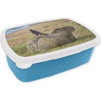 MuchoWow Broodtrommel Blauw - Lunchbox - Brooddoos - Capibara met vogel - 18x12x6 cm - Kinderen - Jongen