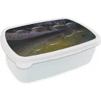 MuchoWow Broodtrommel Wit - Lunchbox - Brooddoos - Schildpaden op een palmboom bij het water in de nacht - 18x12x6 cm - Volwassenen