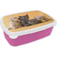 MuchoWow Broodtrommel Roze - Lunchbox Puppy - Kitten - Dieren - Brooddoos 18x12x6 cm - Brood lunch box - Broodtrommels voor kinderen en volwassenen