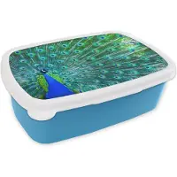 MuchoWow Broodtrommel Blauw - Lunchbox - Brooddoos - Pauw - Blauw - Dieren - 18x12x6 cm - Kinderen - Jongen