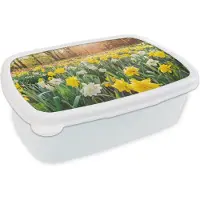 MuchoWow Broodtrommel Wit - Lunchbox - Brooddoos - Narcis - Kleuren - Lente - 18x12x6 cm - Volwassenen