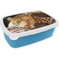 MuchoWow Broodtrommel Blauw - Lunchbox - Brooddoos - Panter - Boom - Natuur - 18x12x6 cm - Kinderen - Jongen