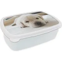 MuchoWow Broodtrommel Wit - Lunchbox - Brooddoos - Een close-up van een vermoeide Labrador puppy - 18x12x6 cm - Volwassenen