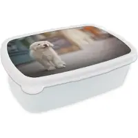 MuchoWow Broodtrommel Wit - Lunchbox - Brooddoos - Een Golden Retriever puppy lopend op de stoep - 18x12x6 cm - Volwassenen