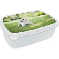 MuchoWow Broodtrommel Wit - Lunchbox Labrador puppy in tuin - Brooddoos 18x12x6 cm - Brood lunch box - Broodtrommels voor kinderen en volwassenen