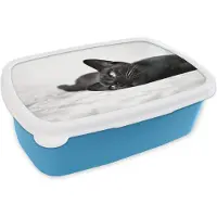 MuchoWow Broodtrommel Blauw - Lunchbox - Brooddoos - Burmese kat ligt lekker op een deken - zwart wit - 18x12x6 cm - Kinderen - Jongen
