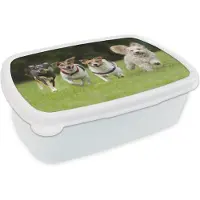 MuchoWow Broodtrommel Wit - Lunchbox - Brooddoos - Een groep puppy's rennen over een veld - 18x12x6 cm - Volwassenen