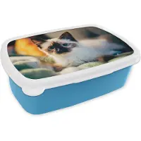 MuchoWow Broodtrommel Blauw - Lunchbox - Brooddoos - Kat - Vacht - Zwart - 18x12x6 cm - Kinderen - Jongen