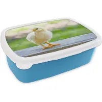 MuchoWow Broodtrommel Blauw - Lunchbox - Brooddoos - Kleine geel kuikentje voor een hek - 18x12x6 cm - Kinderen - Jongen