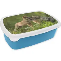 MuchoWow Broodtrommel Blauw - Lunchbox - Brooddoos - Wolf - Gras - Welp - 18x12x6 cm - Kinderen - Jongen