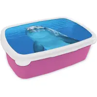 MuchoWow Broodtrommel Roze - Lunchbox - Brooddoos - Dolfijn - Water - Blauw - 18x12x6 cm - Kinderen - Meisje