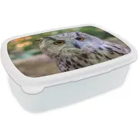 MuchoWow Broodtrommel Wit - Lunchbox - Brooddoos - Bruine uil zit op een boomstronk - 18x12x6 cm - Volwassenen