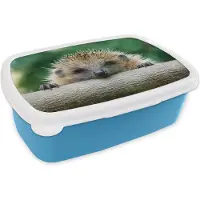 MuchoWow Broodtrommel Blauw - Lunchbox - Brooddoos - Egel bijt in hout - 18x12x6 cm - Kinderen - Jongen