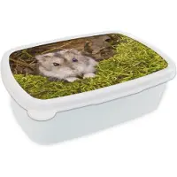 MuchoWow Broodtrommel Wit - Lunchbox - Brooddoos - Grijze dwerghamster - 18x12x6 cm - Volwassenen