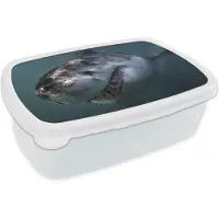 MuchoWow Broodtrommel Wit - Lunchbox - Brooddoos - Haai - Wit - Water - 18x12x6 cm - Volwassenen