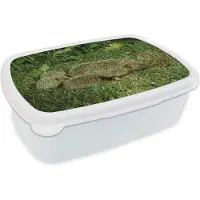 MuchoWow Broodtrommel Wit - Lunchbox - Brooddoos - Egel met drie baby egels - 18x12x6 cm - Volwassenen