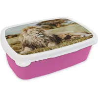 MuchoWow Broodtrommel Roze - Lunchbox - Brooddoos - Leeuwen - Wild - Afrika - 18x12x6 cm - Kinderen - Meisje