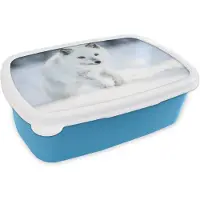 MuchoWow Broodtrommel Blauw - Lunchbox - Brooddoos - Vos - Wit - Sneeuw - 18x12x6 cm - Kinderen - Jongen