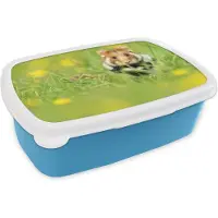 MuchoWow Broodtrommel Blauw - Lunchbox - Brooddoos - Europese hamster in het gras - 18x12x6 cm - Kinderen - Jongen