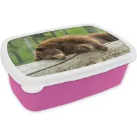 MuchoWow Broodtrommel Roze - Lunchbox - Brooddoos - Kaneelbeer op een boom - 18x12x6 cm - Kinderen - Meisje