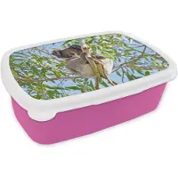 MuchoWow Broodtrommel Roze - Lunchbox - Brooddoos - Koala - Lucht - Takken - Kinderen - Jongens - Meiden - 18x12x6 cm - Kinderen - Meisje