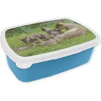 MuchoWow Broodtrommel Blauw - Lunchbox - Brooddoos - Wolf - Welpen - Gras - 18x12x6 cm - Kinderen - Jongen