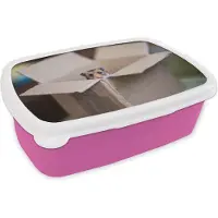MuchoWow Broodtrommel Roze - Lunchbox - Brooddoos - Hamster komt tevoorschijn uit een kartonnen doos - 18x12x6 cm - Kinderen - Meisje