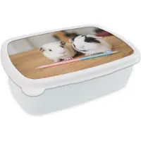 MuchoWow Broodtrommel Wit - Lunchbox - Brooddoos - Schattige baby-cavia's - 18x12x6 cm - Volwassenen