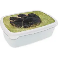 MuchoWow Broodtrommel Wit - Lunchbox - Brooddoos - Aap - Gras - Dieren - 18x12x6 cm - Volwassenen